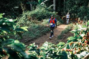 BIB: 
                            <button type="button" onclick="openModal(25853506)" class="btn btn-primary btn-sm float-right btn-popup" data-toggle="modal" data-target=".modal-high-quality">
                        <i class="fas fa-shopping-cart"></i> Add to Cart
                    </button>
                                            <button type="button" onclick="isThisMe(25853506, true)" class="btn btn-success btn-sm float-right btn-popup btn-isme hidden" data-toggle="tooltip" data-placement="bottom" title="นี่คือรูปของคุณใช่ไหม คลิกที่นี่เพื่อเอาเข้าอัลบั้ม">
                        <i class="fas fa-plus"></i> Add to album
                    </button>
                    <button type="button" onclick="isThisMe(25853506, false)" class="btn btn-warning btn-sm float-right btn-popup btn-isnotme hidden">
                        <i class="fas fa-ban"></i> Remove from album
                    </button>